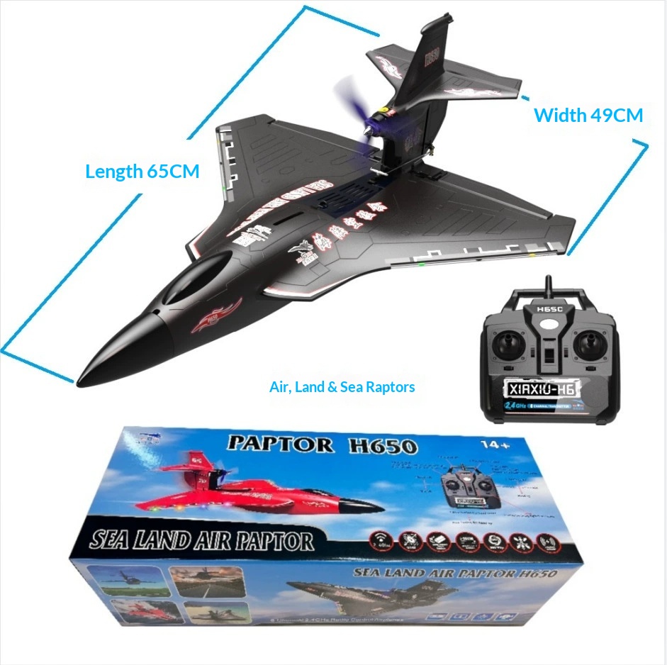 Avión RC de 6 Canales H650 Rap - Rc Wing Glider reseña y precio